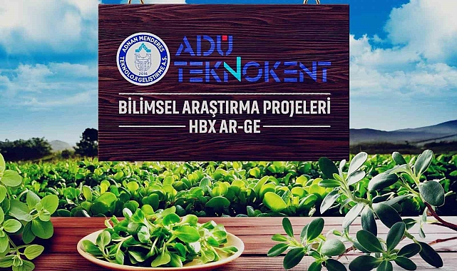 Semizotunun bilinmeyen faydaları