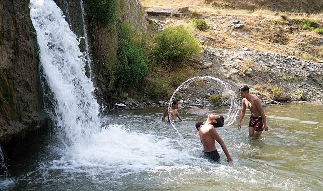 Sıcaklardan bunalan Muşlu çocuklar, Çar Çayında yüzerek serinliyor