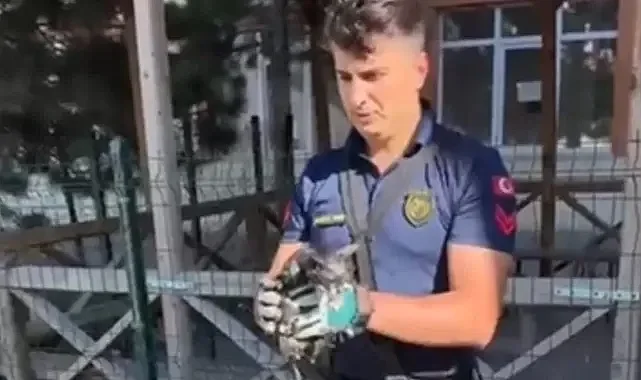 Sivas&#039;ta tuvalete düşen yavru kediyi, itfaiye uzun uğraşlar sonucu kurtardı