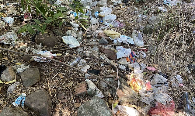 Tarihi çeşme, yabani otlar ve çöplerle kaplandı