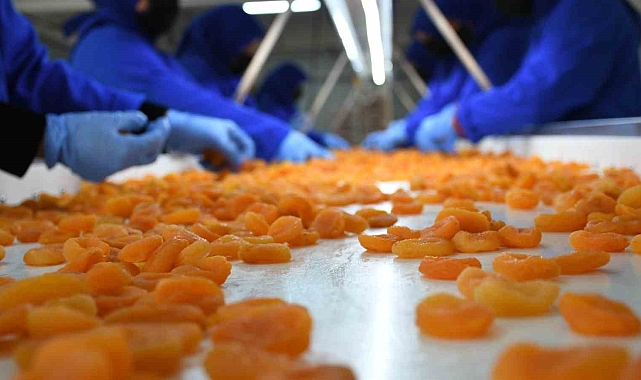 &quot;Toprak Mahsulleri Ofisi&#039;nin müdahale kararının geldiğini görüyoruz&quot;