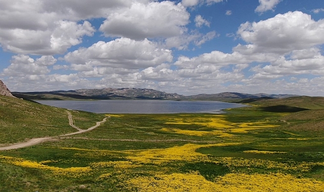 Turna Gölü, masmavi suyunun çevresinde açan rengarenk çiçekler görenleri büyülüyor