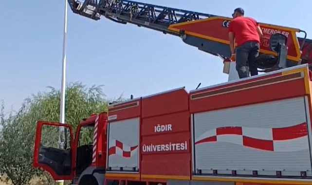 Üniversite personelinden karga kurtarma operasyonu