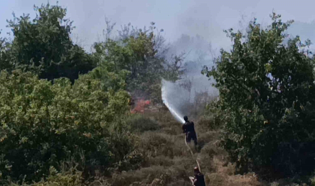 Vincin kopardığı enerji hattı yangın çıkardı