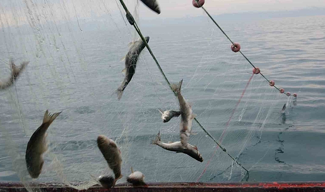 Yasak sona erdi, balıkçılar ağlarını suya bıraktı