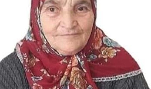 Yolun karşısına geçmeye çalışan kadına, otomobil çarptı