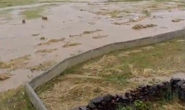 Yüzlerce ot balyası sel sularına gömüldü