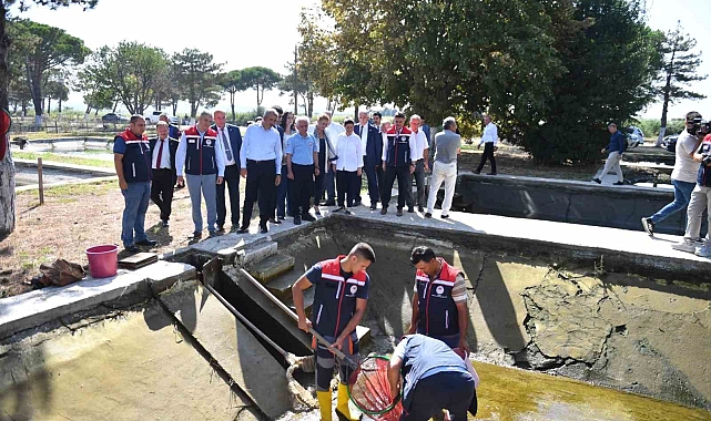 10 milyon yavru sazan balığı, Edirne'deki baraj ve göletlere bırakıldı