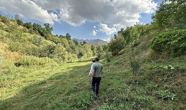 20 yıl önce dikmeye başladığı farklı meyve fidanlarıyla adeta &#039;Yeşil Vadi&#039; oluşturdu