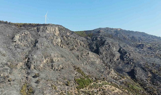 Acı Tablo Gün Ağarınca Ortaya Çıktı
