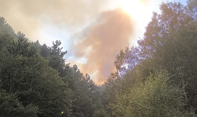 Afyonkarahisar&#039;da öğleden sonra başlayan yangın hala devam ediyor