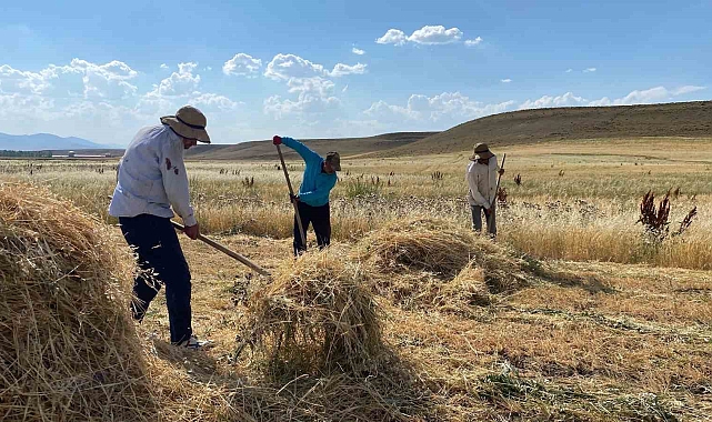 Ağrı'da çiftçilerin ekmek mücadelesi sürüyor