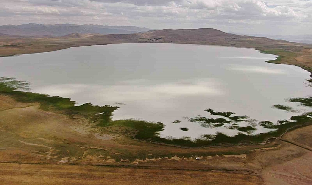 Akgöl, birçok kuş türüne ev sahipliği yapıyor