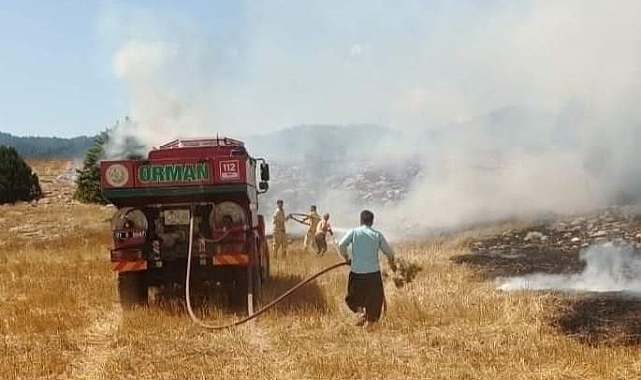 Anız yangını ormana sıçradı