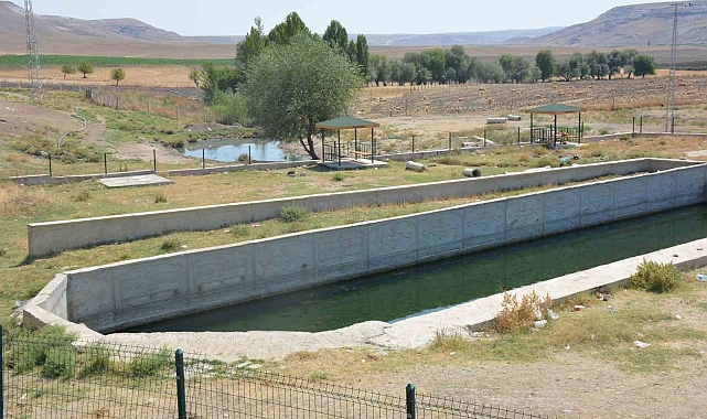 Ankara'nın Polatlı ilçesindeki Balıklı Göl Havuzunda yaşayan balıklar yok olma tehditi altında