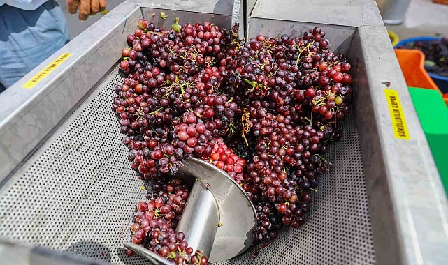 Antalya Büyükşehir Belediyesi, çiftçilere salça ve üzüm sıkma makinesi desteği sağlıyor