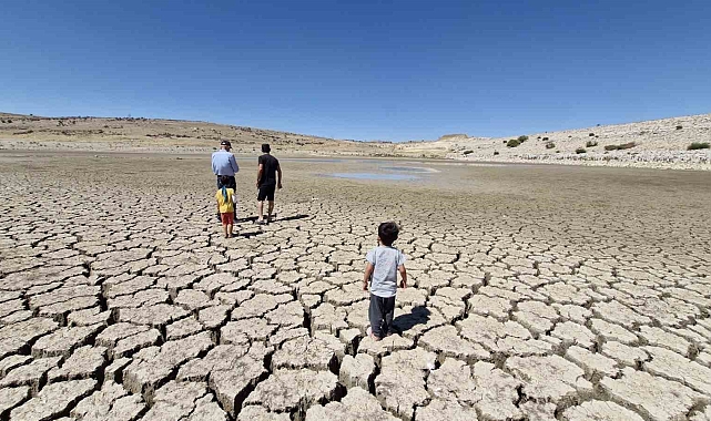 Baraj kurudu, binlerce balık telef oldu