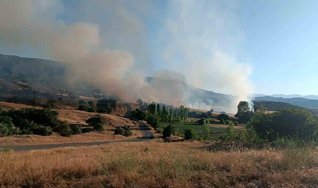 Bingöl'de 1 haftada çıkan yangınlarda 7 hektarlık alan yandı