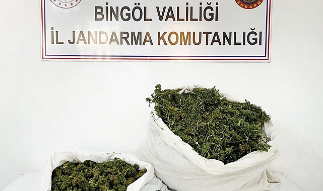 Bingöl'de 12 kilo esrar ele geçirildi: 1 gözaltı
