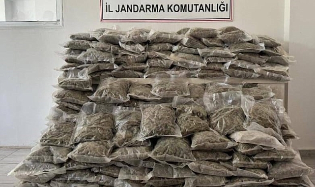 Bingöl&#039;de araziye gizlenmiş vaziyette uyuşturucu ele geçirildi