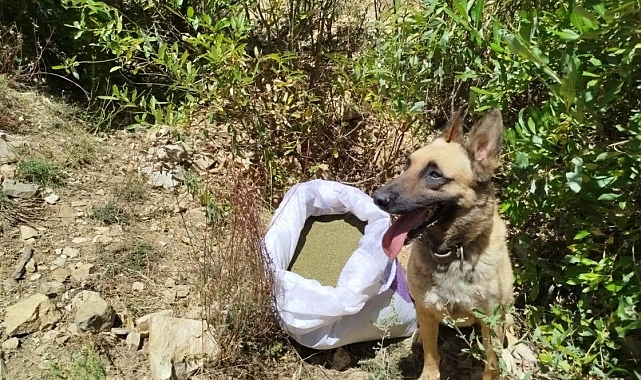 Bingöl'de uyuşturucu madde ele geçirildi