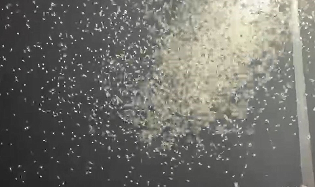 Bir günlükler"in ölüm uçuşu başladı