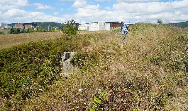 Çalılıkların arasında kaybolan tarih