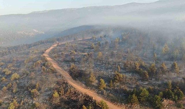 Çankırı&#039;daki orman yangınına ekiplerin müdahalesi 14&#039;üncü saatte sürüyor