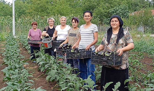Çiftçi kadınların dayanışma örneği