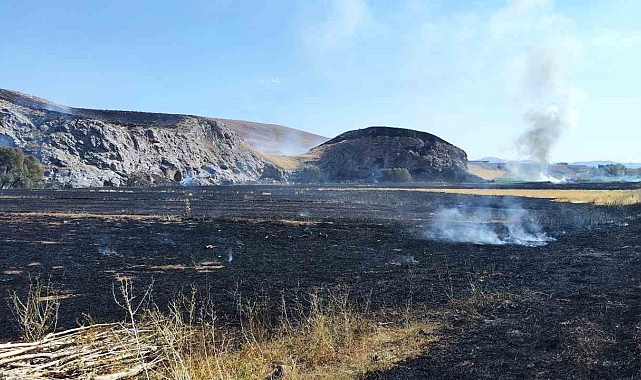 Çıkan anız yangınında 70 dönüm alan kül oldu