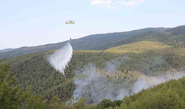 Çine yangınına yoğun müdahale sürüyor
