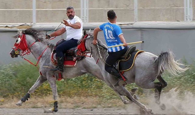 Cirit maçları Erzurum'da nefes kesmeye devam ediyor