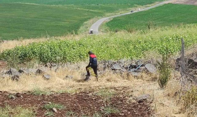 Diyarbakır&#039;da kayıp 8 yaşındaki kız, iz takip köpeği ve dron desteğiyle aranıyor