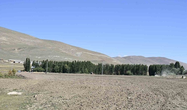 Doğu Anadolu’nun en az ormanına sahip ili Iğdır!