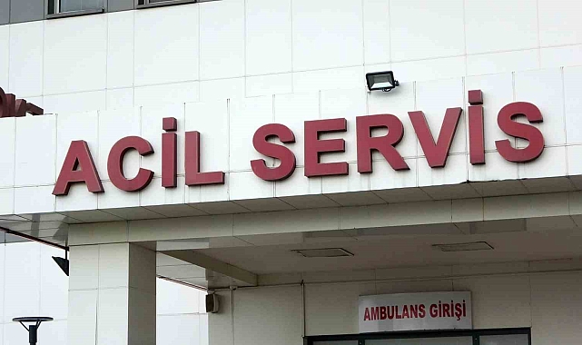 Doğu Karadeniz Bölgesinde mantardan zehirlenmeler arttı