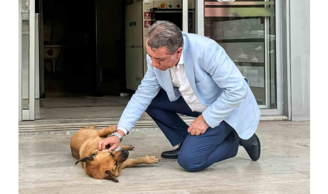 Efeler&#039;de sahiplendirme kampanyası başladı, ilk desteği Başkan Yetişkin verecek