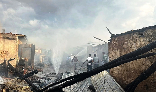 Ekmek fırınında çıkan yangın ahıra sıçradı, 14 büyükbaş hayvan telef oldu