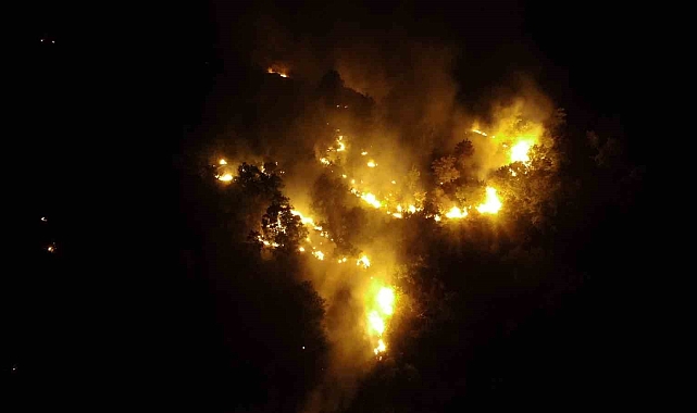 Elazığ&#039;daki orman yangını ekiplerin müdahalesiyle kontrol altına alındı