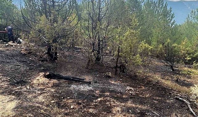 Elektrik tellerinin kopması sonucu çıkan yangın söndürüldü