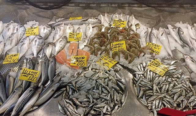 En çok tercih edilen balık, sardalya oldu