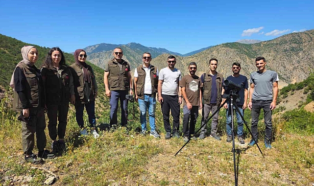 Erzurum'da yaban keçilerine yönelik sayım çalışmaları sürüyor