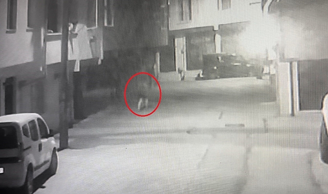 Ev sahibi kadın hırsızı kovaladı