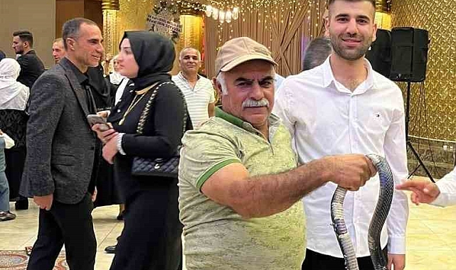 Gelin ve damada &#039;yılan şovu&#039; sürprizi