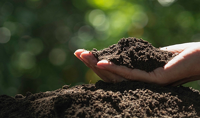 Gençlerde stres, pika sendromu için bir etken