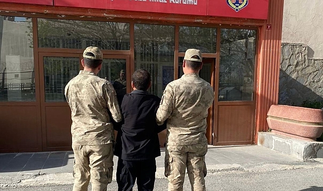 Hakkari'de jandarma 39 kişiyi tutukladı