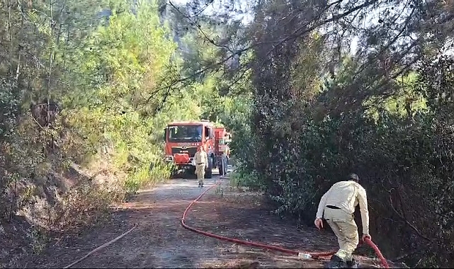 Hatay&#039;da çıkan orman yangını kontrol altına alındı