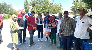 Iğdır’da Akdeniz meyve sineği ile mücadele devam ediyor