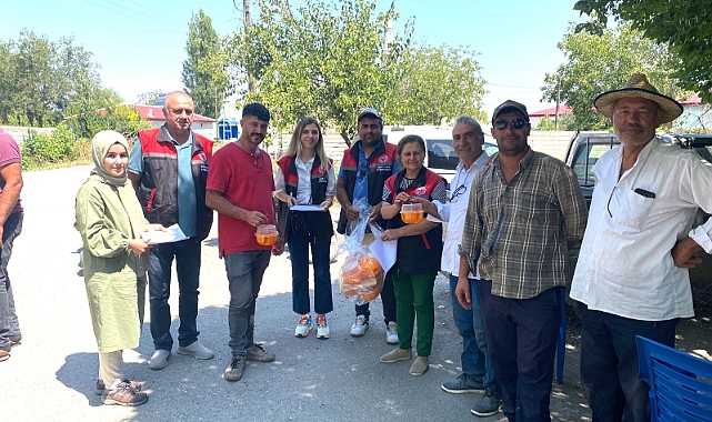 Iğdır’da Akdeniz meyve sineği ile mücadele devam ediyor