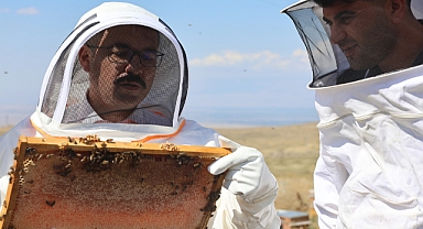 Iğdır Valisi Turan'ın katılımıyla bal hasadı yapıldı