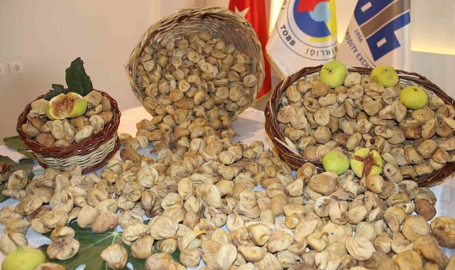 İncir, altınla yarışıyor